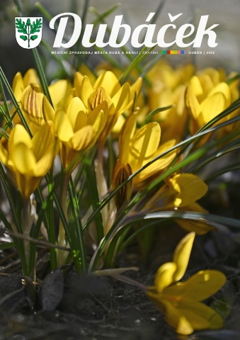 bulletin.preview_image