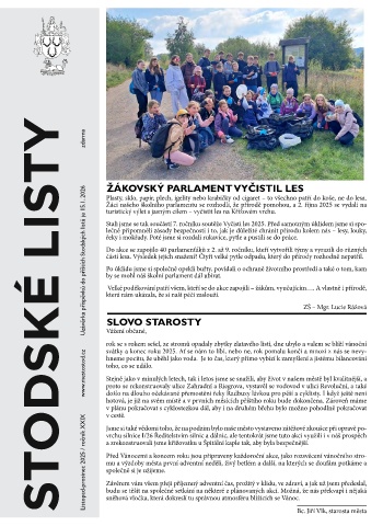 Náhledový obrázek