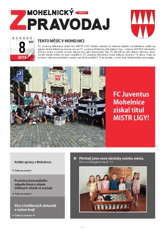 Náhledový obrázek
