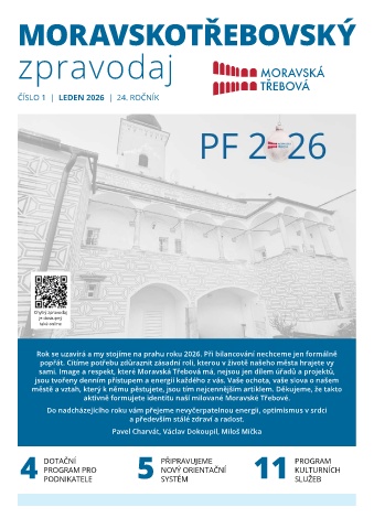 Náhledový obrázek