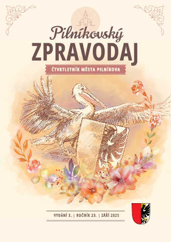 Náhledový obrázek