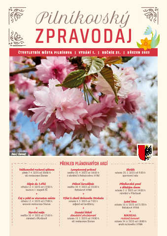 Náhledový obrázek