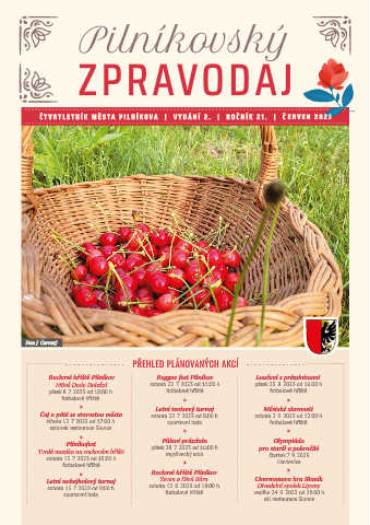 Náhledový obrázek