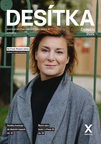 Náhledový obrázek