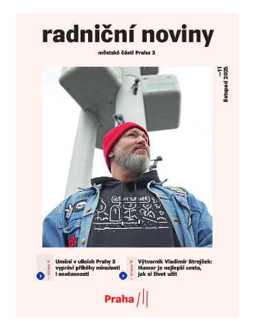 Náhledový obrázek