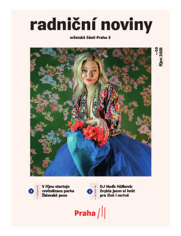 Náhledový obrázek