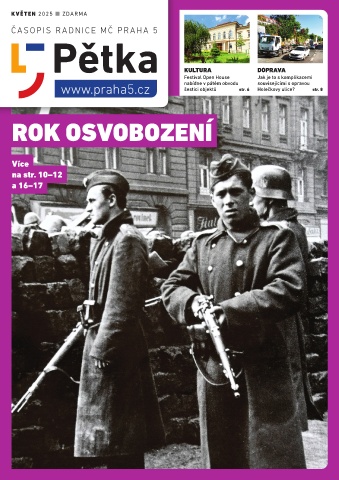 Náhledový obrázek