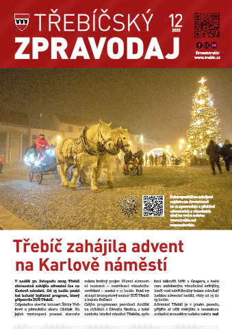 Náhledový obrázek