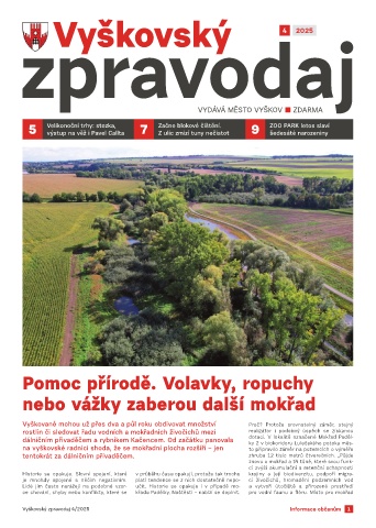 Náhledový obrázek